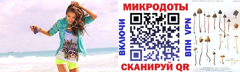 Галлюциногенные грибы Psilocybine cubensis  Купить где  Карабулак 